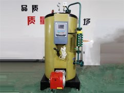 300kg蒸汽发生器_小型燃气蒸汽发生器_小型