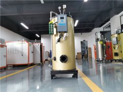 600公斤蒸汽发生器_燃气锅炉蒸汽发生器